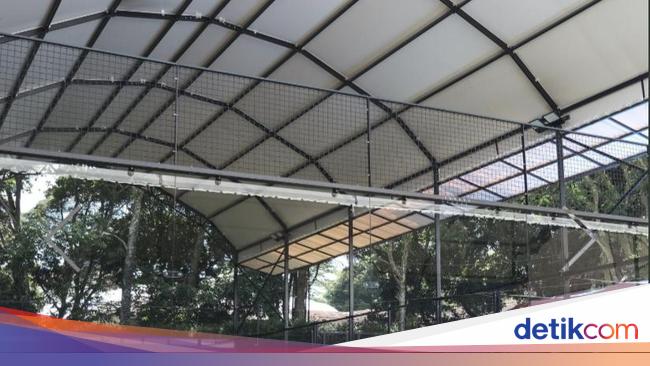 Pemprov Tetapkan Padel Masuk Objek Pajak Hiburan 10% di Jakarta