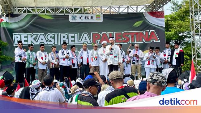 Waka MPR Minta Mesir &amp; Libya Buka Jalan Relawan Kemanusiaan untuk Gaza