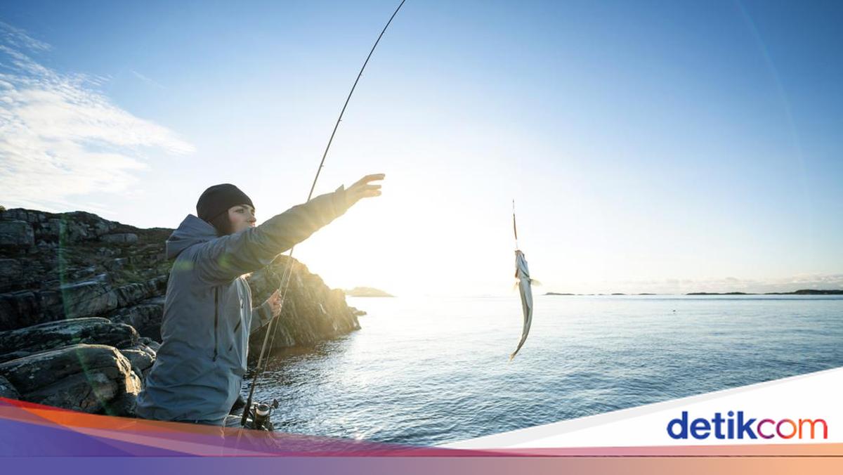 Menangkap Ikan, Bisa dapat Rezeki atau Simbol Kegagalan