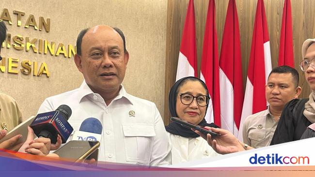 RI Butuh 100 Juta Ayam Petelur buat Makan Bergizi Gratis