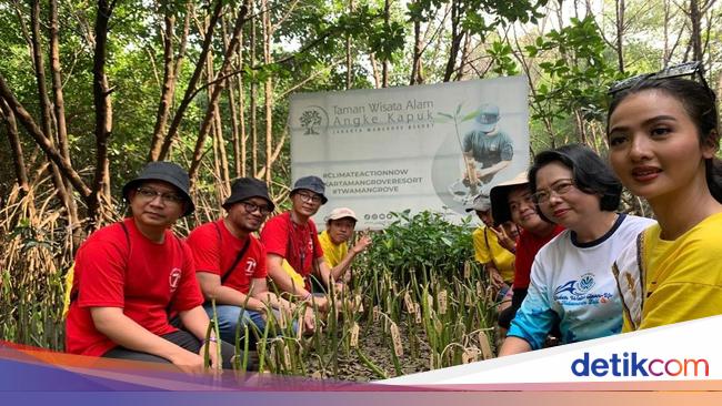 Dari Jalanan ke Aksi Iklim, Driver Maxim Ikut Aksi Tanam Mangrove