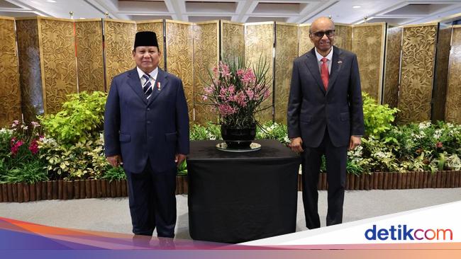 Diplomasi Anggrek dan Kebijakan Sukses Singapura yang Dilirik Prabowo