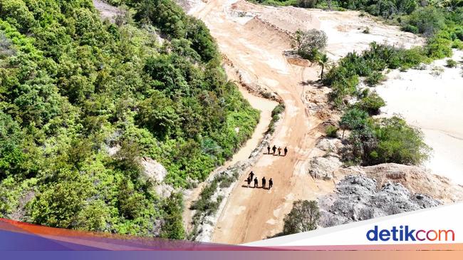 Tambang Bikin Ekosistem Pulau Citlim Rusak Parah, KKP: IUP Bisa Dicabut