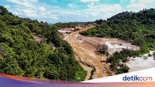 Terungkap! Kerusakan Parah Akibat Tambang di Pulau Citlim