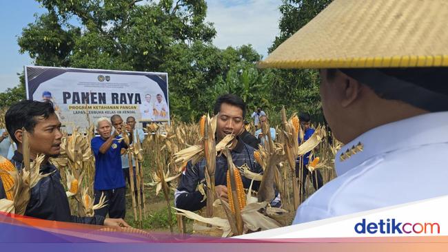 Napi Ikut Ketahanan Pangan Lapas, Menteri Agus: Sudah Dapat Duit Belum?