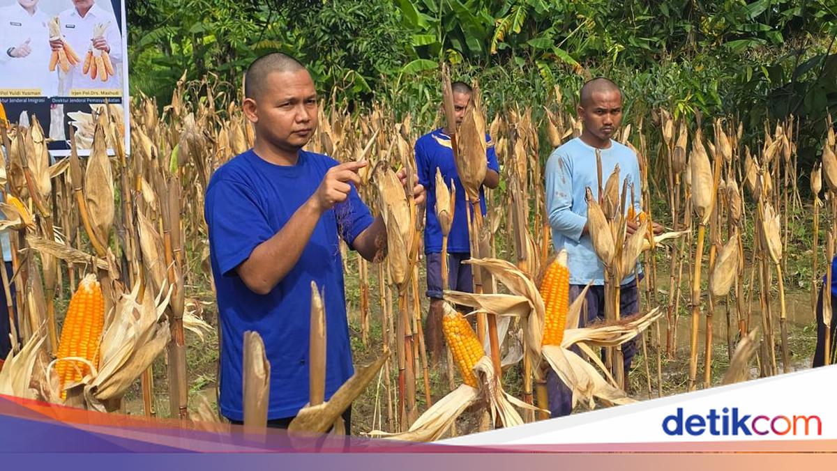Penyedia Bahan Makanan Lapas Wajib Serap 5% Hasil Ketahanan Pangan Napi