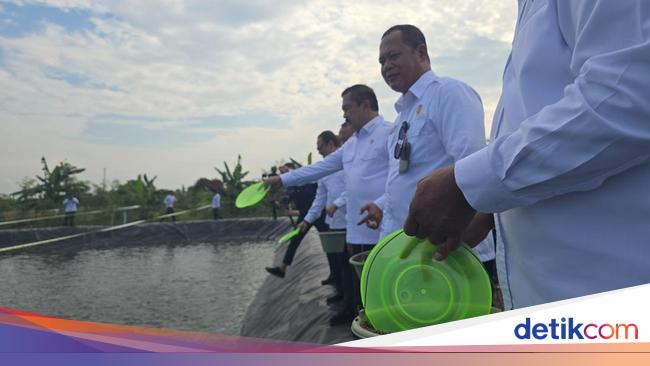 Menteri Imipas Cek Budi Daya Ikan di Lapas Terbuka Kendal, Tebar Bibit-Beri Pakan