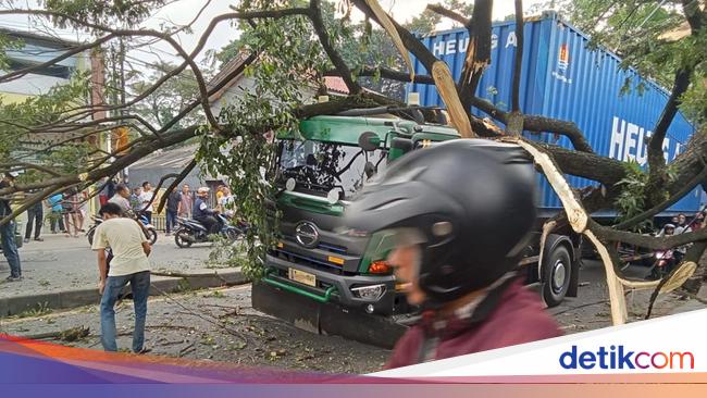 Pohon Tumbang karena Tersangkut Truk di Depok, Sempat Bikin Lalin Macet