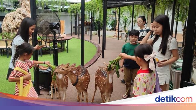 Habitat Park SCBD, Taman Hewan di Tengah Gedung Pencakar Langit