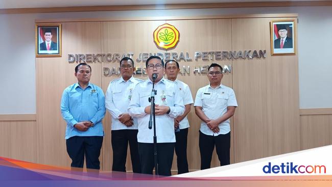 Kementan Tetapkan HPP Ayam Hidup Rp 18.000/Kg, Berlaku Besok