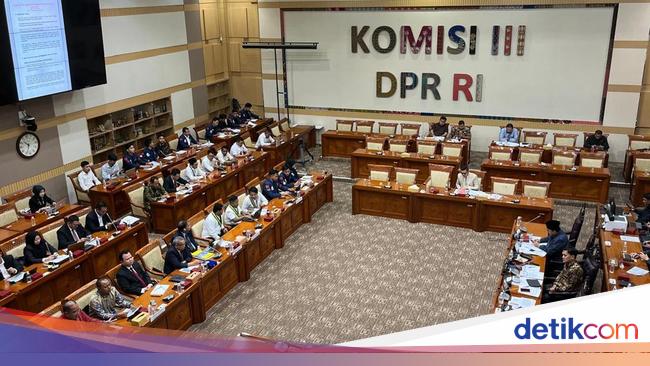 Rapat RUU KUHAP, PB SEMMI Beri Usulan Terkait Kasus Penghinaan Presiden