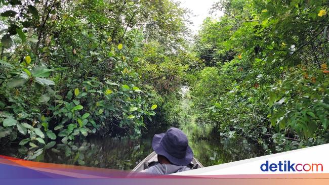 RI Butuh Kredit Karbon buat Solusi Iklim Berkelanjutan