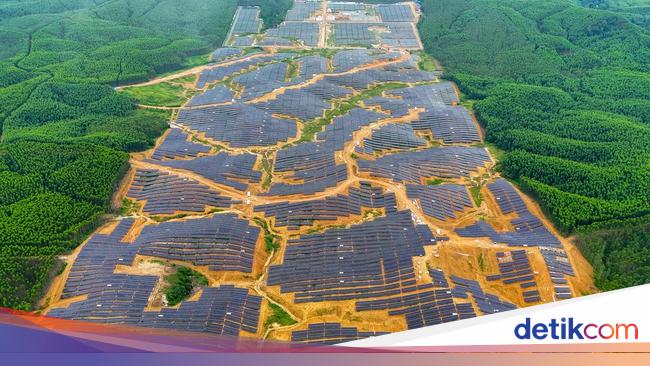 Singapura Bakal Bangun 'Kebun Matahari' Kapasitas 50 MW di IKN