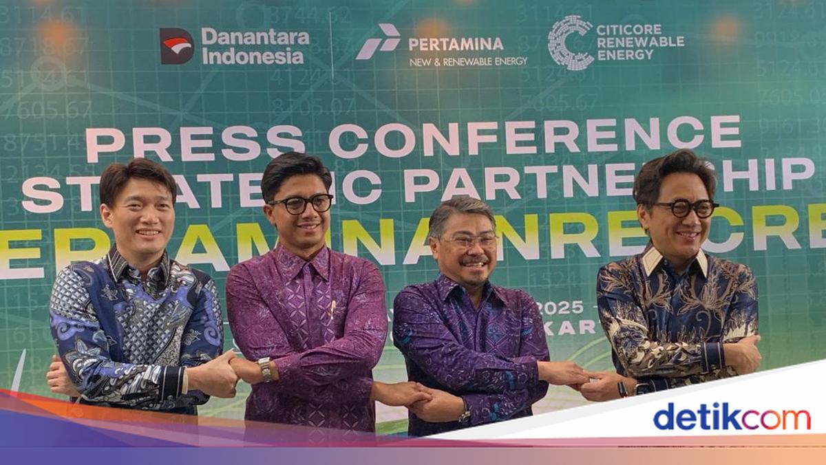 Pertamina Mau Gandeng China Bangun Pabrik Panel Surya di RI, Ini Bocorannya