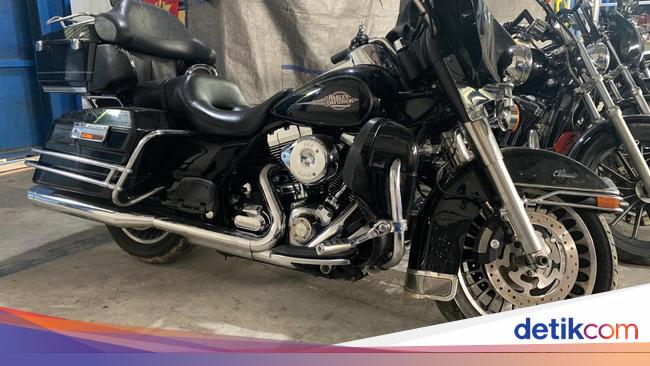 Bea Cukai Gagalkan Penyelundupan Moge-Satwa yang Rugikan Negara Rp 4,6 T