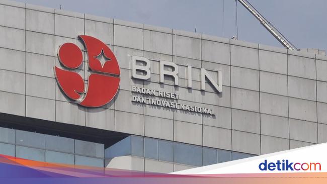 BRIN: Tsunami Besar di Selatan Jawa Berpotensi Terulang 200 Tahun ke Depan