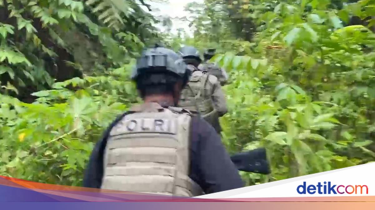 Murka Istri Ketiga Selingkuh, Pimpinan KKB Tembak Mati 3 Warga di Papua ...