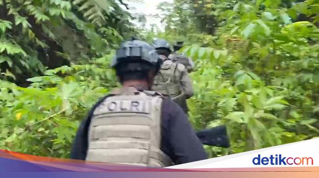 Bos KKB Tembak Mati 3 Warga gegara Istri Ketiga Selingkuh dengan Anak Buah
