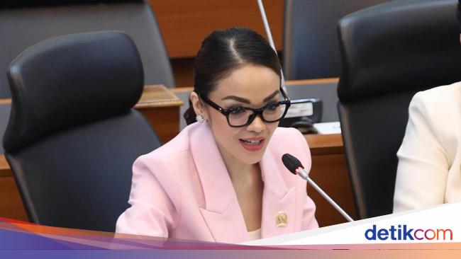 Anggota Komisi I DPR Dukung Penuh TNI Evakuasi WNI di Iran-Israel