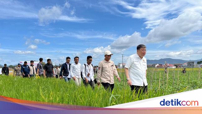 Komisi IV DPR Dorong Sawah Pokok Murah di Sumbar Jadi Program Nasional