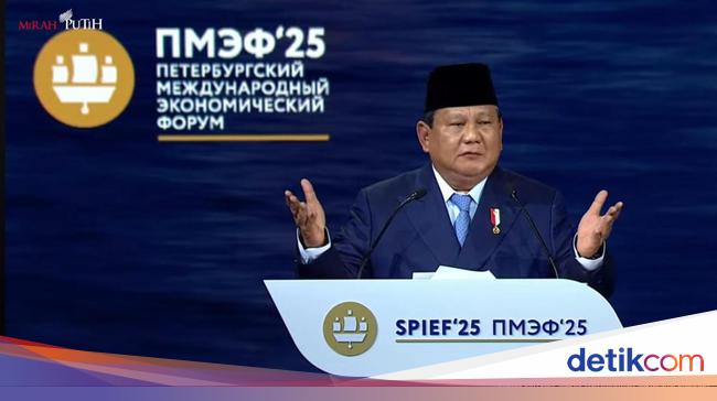 Di Depan Putin Prabowo Pamer Stok Beras, Danantara, dan Ekonomi Bisa Tumbuh 7%