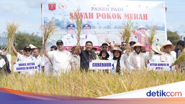 Titik Soeharto Puji Inovasi Petani Agam Berhasil Budidaya Padi Metode SPM