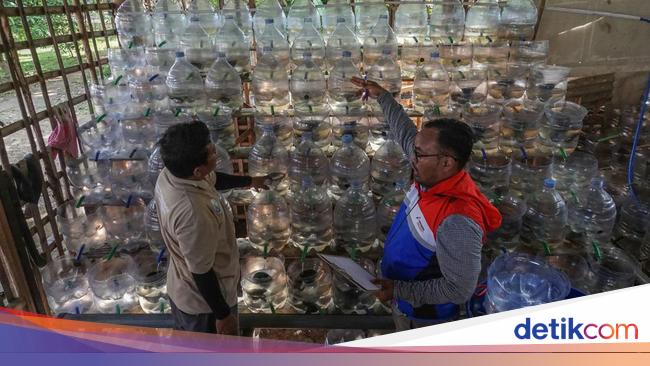 Galon Bekas Disulap Jadi Rusun Kepiting Ramah Lahan