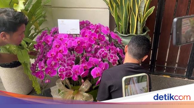 Penampakan Anggrek Ungu yang Dikirim Prabowo di Ultah Jokowi ke-64