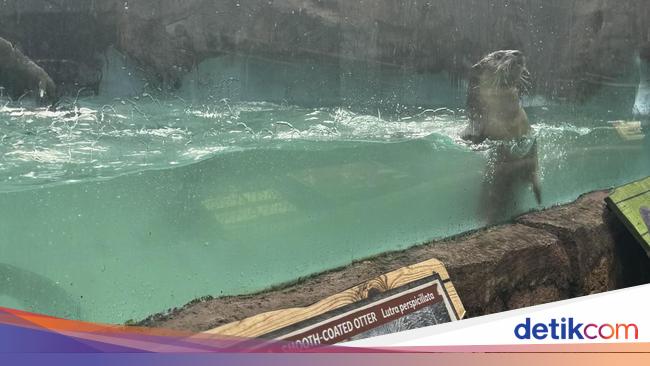 Libur Sekolah Bikin Lupa Pelajaran? Saatnya Eduwisata