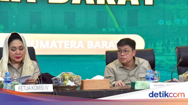 Komisi IV DPR Minta Izin Pengelolaan Hutan Mentawai Ditinjau Ulang
