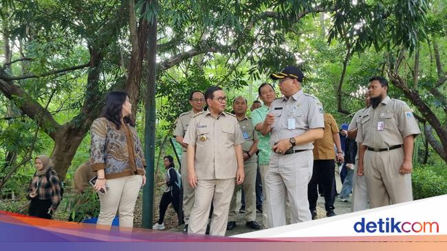 Pramono Minta Taman Hutan Kota Srengseng Direnovasi-Gelar Acara Budaya