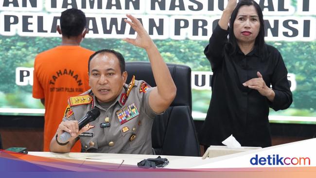 Polda Riau Buka Peluang Tersangka Kasus Komersialisasi TNTN Bertambah