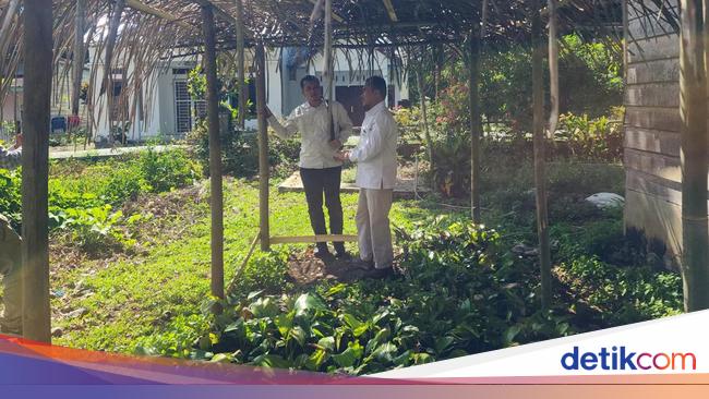 Cara Unik Melestarikan Aren Endemik di Cagar Alam Martelu Purba