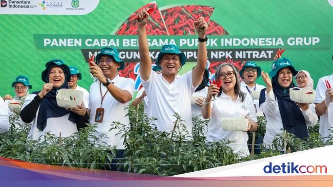 Pupuk Indonesia Kenalkan NPK Nitrat, Bawang Merah &amp; Cabai Tahan Musim Hujan