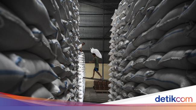 RI Harus Produksi Beras 34 Juta Ton, Baru Bisa Ekspor
