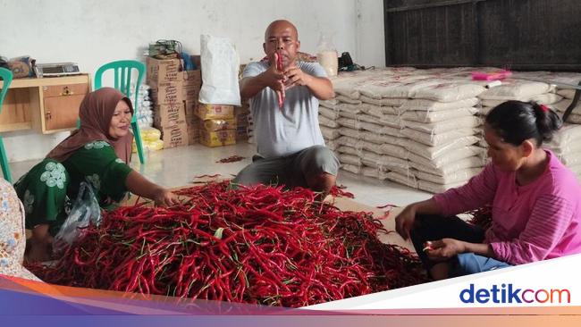 BRI Beri Dukungan Pembiayaan ke Koperasi Penyuplai Bahan Pangan MBG