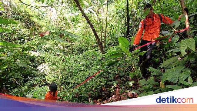 3 Tim Lanjut Cari Kakek Hilang di Gunung Salak, Susuri Sungai-Pakai Drone