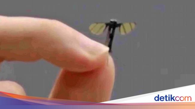 China Kembangkan Drone Mikro untuk Militer dan Spionase