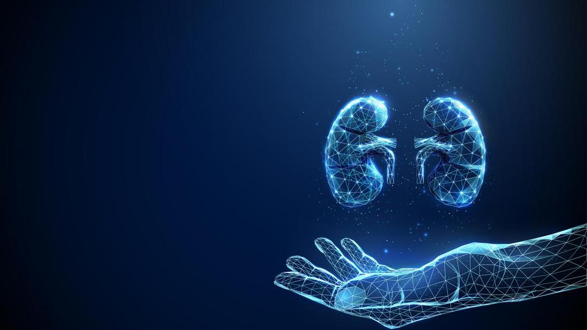 Dokter Ungkap Gejala Anak Sakit Ginjal, Bisa Terlihat di Kaki hingga Perut