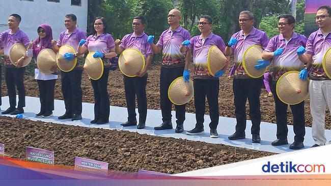 Mendes-Gubernur-Jamintel Tanam Bawang, Harap Banten Bisa Swasembada Pangan