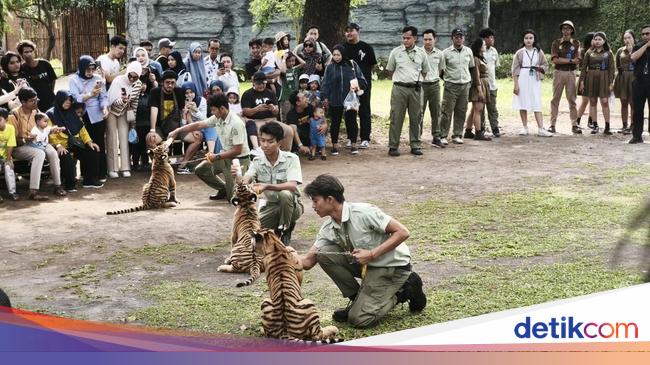 Solo Safari Gelar Funtasy Safari, Ada Gratis Tiket Anak!