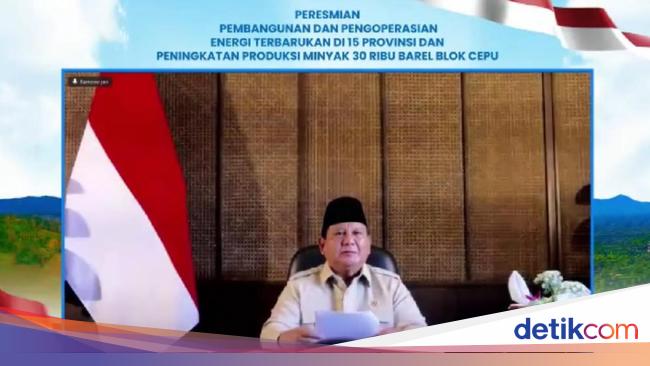 Prabowo Resmikan Pembangkit Listrik EBT di 15 Provinsi Senilai Rp 25 T