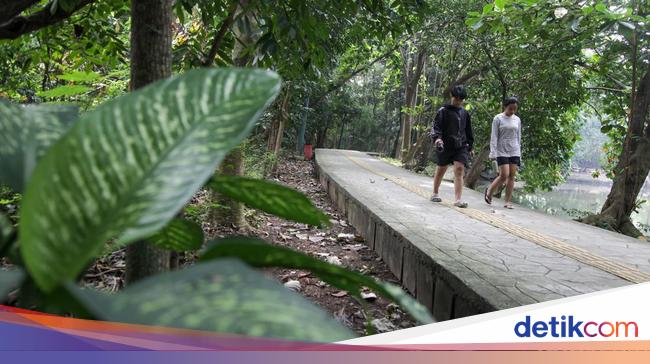 Jadi Paru-paru Jakbar, Hutan Kota Srengseng Bakal Ditata