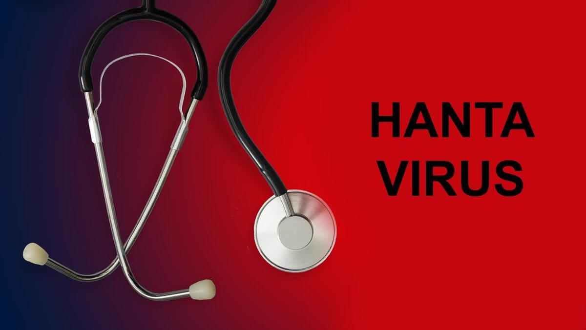 Bukan Hanya Bandung, Ini Peta Persebaran Virus Hanta di Indonesia