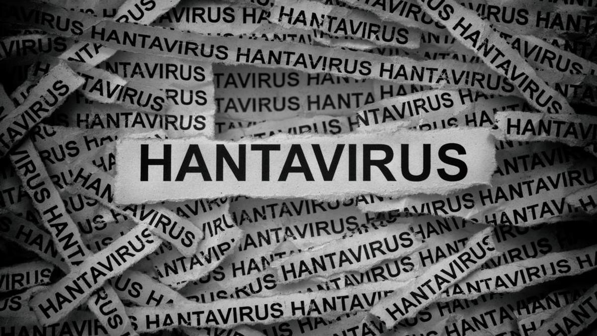Berapa Lama Masa Inkubasi Virus Hanta di Tubuh Manusia