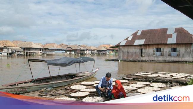 BRI Salurkan KUR Rp 69,8 Triliun ke 8,3 Juta UMKM di Indonesia