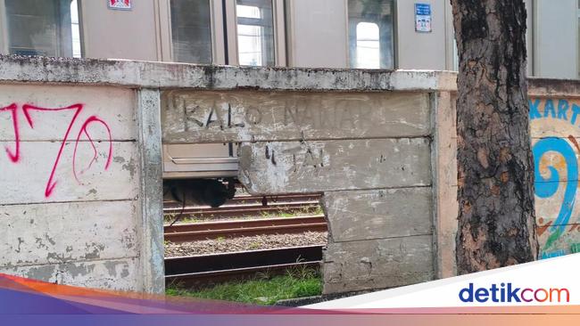 Kepingan Puzzle yang Belum Ketemu di Balik Tembok Bolong Jatinegara