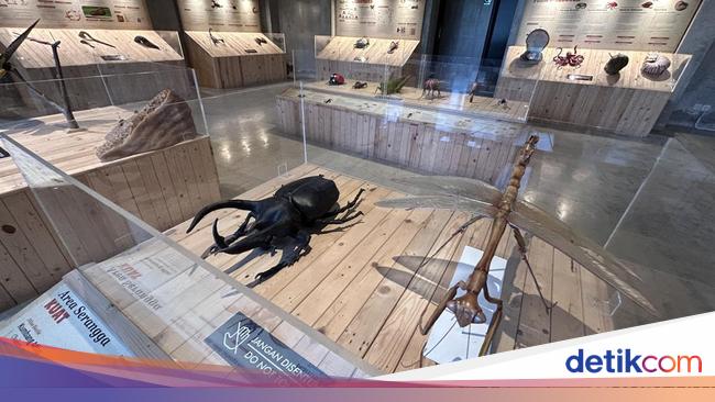 Animalium, Wisata Edukatif Seru di Bogor untuk Libur Sekolah