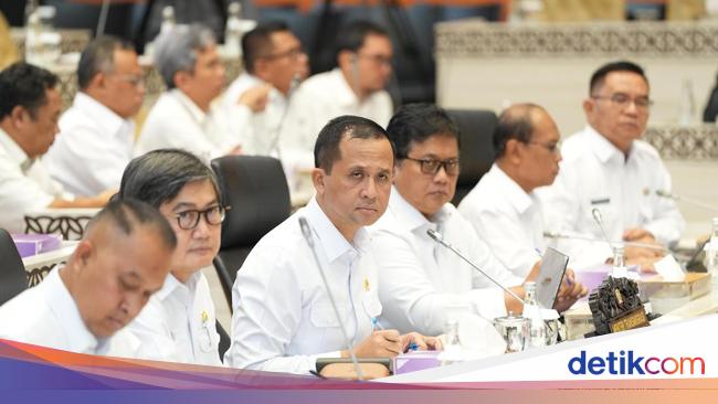 DPR Desak Lahan Transmigrasi Dilepaskan dari Kawasan Hutan