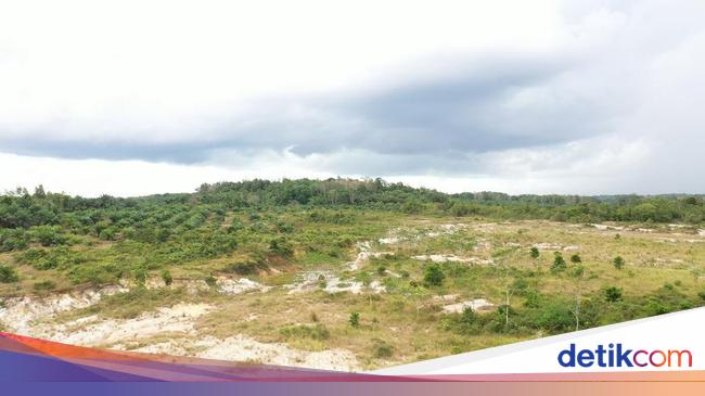 Kementerian ATR/BPN Bantah Isu 2026 Tanah Tak Bersertifikat Diambil Negara